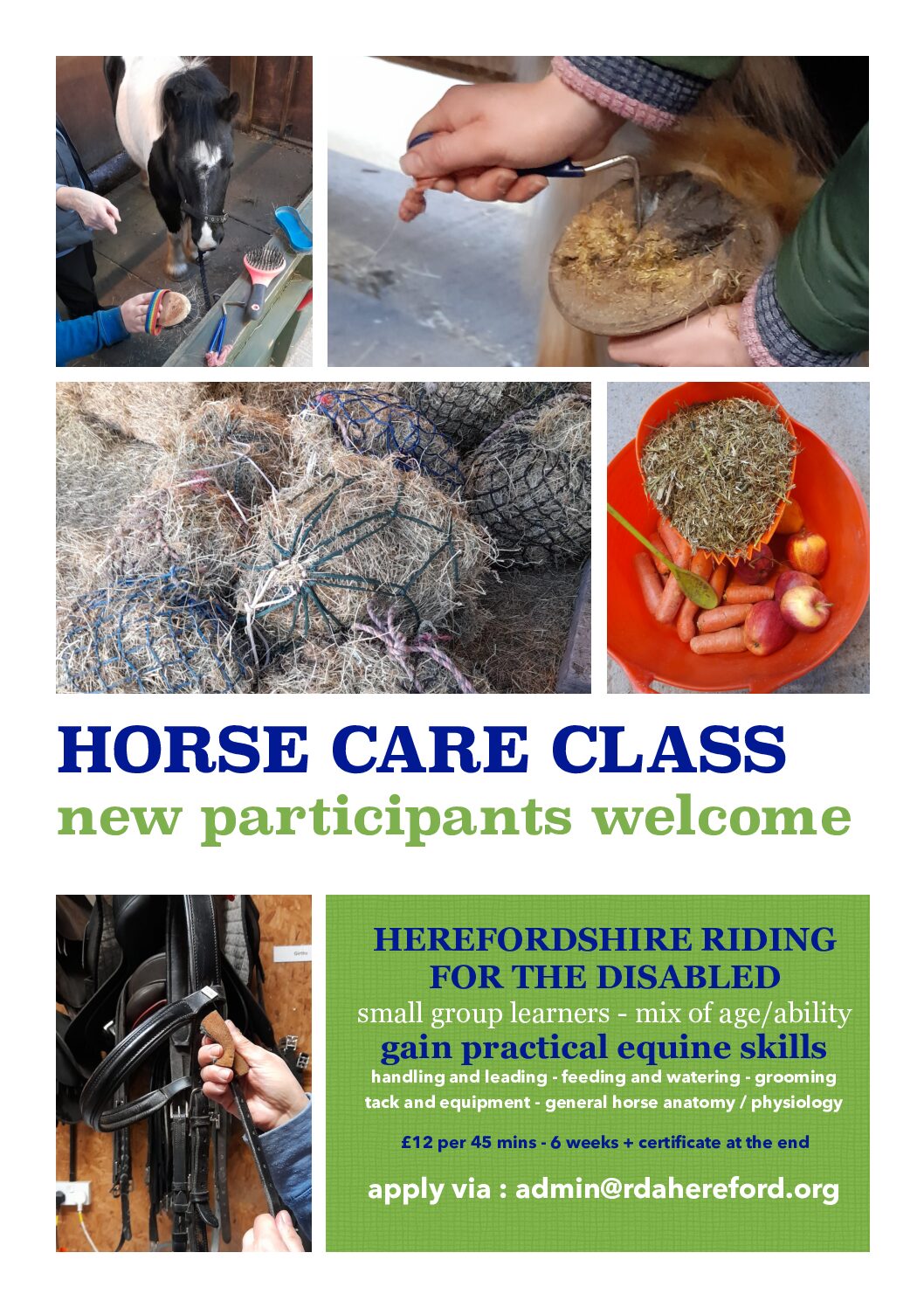 Horse Care classes are starting!