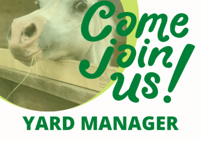 Come Join Us!  Yard Manager Required